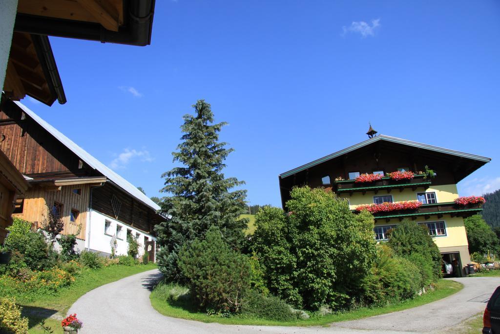 Hinteregghof Villa Forstau  Exterior photo
