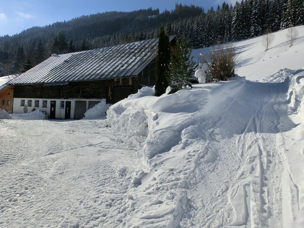 Hinteregghof Villa Forstau  Exterior photo