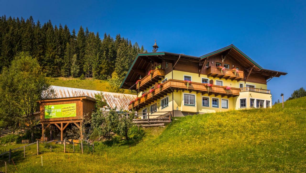 Hinteregghof Villa Forstau  Exterior photo